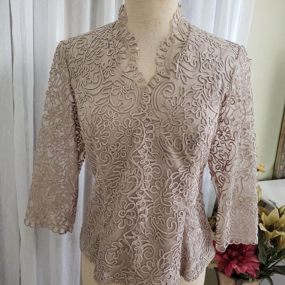 Alex Evening V-neck Scallop Lace Lined Embroidery Top.